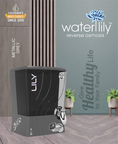 Waterlily