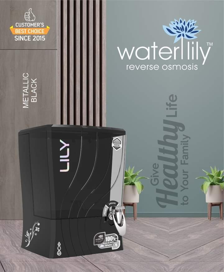 Waterlily