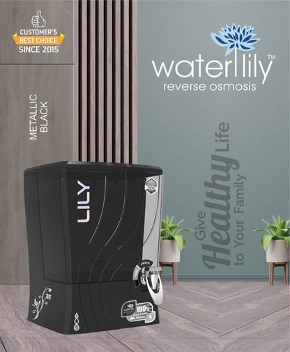 Waterlily