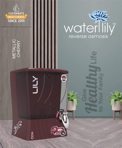 Waterlily