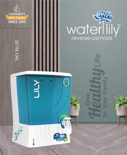 Waterlily